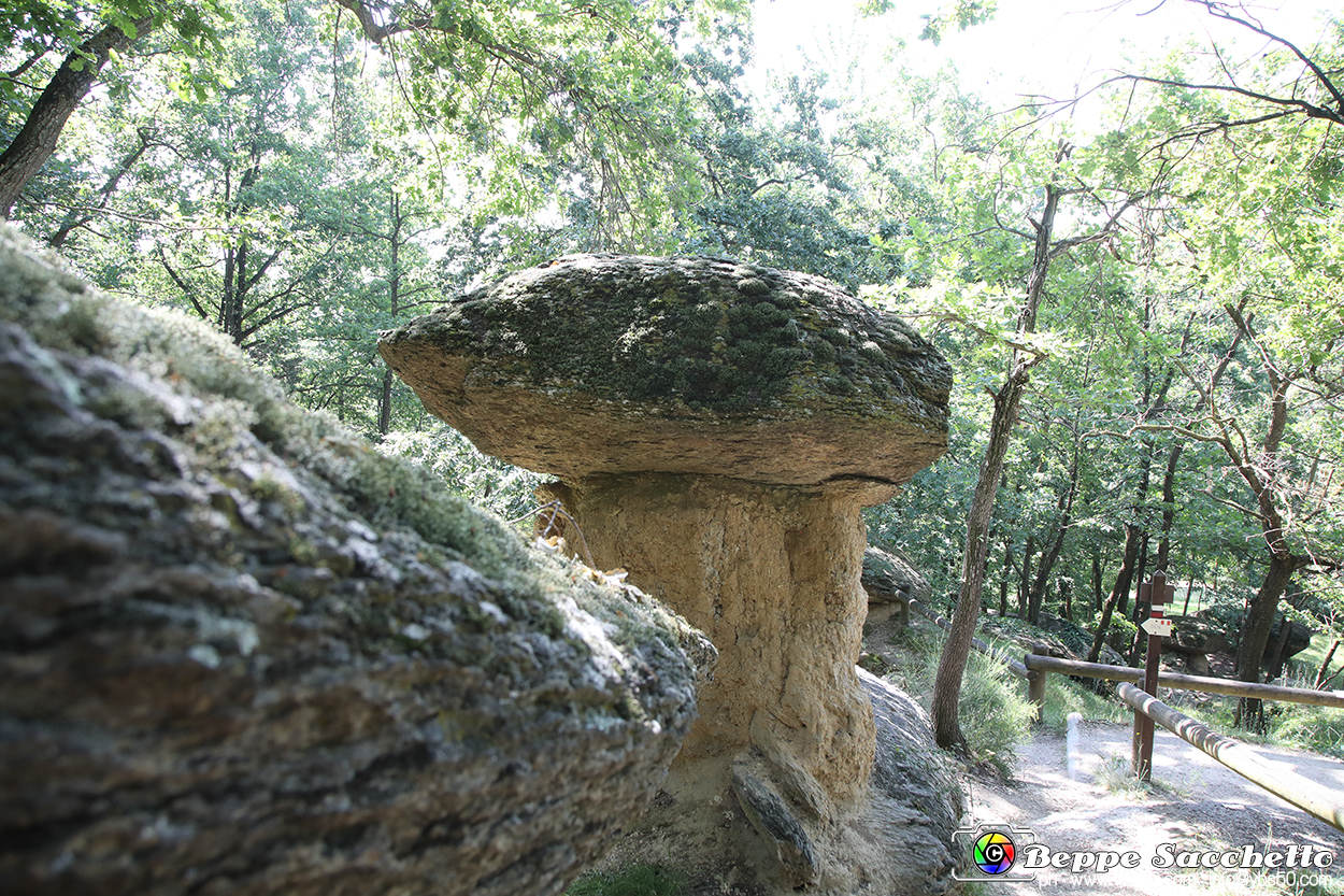 VBS_8988 - I Ciciu del Villar. Villar San Costanzo. Val Maira (Cuneo).jpg